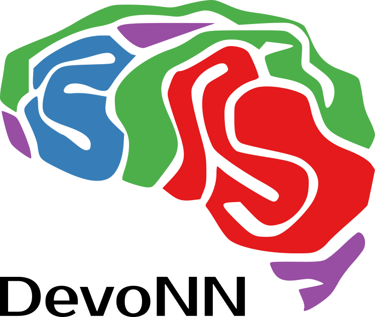 Development of Neural Networks Workshop