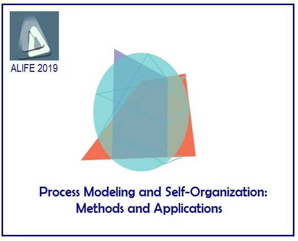 Process Modeling and Self-Organization: Methods and Applications